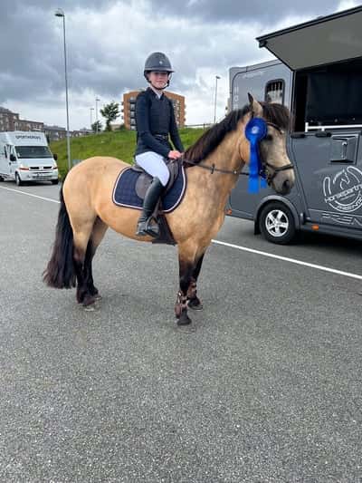 Post 85 of Show jumping with title Och ännu en 2a placering på Åby