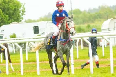 Inlägg 11 av Arabiskt Fullblod med titeln Ponnygalopp 