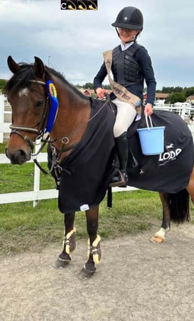 Post 152 of Show jumping