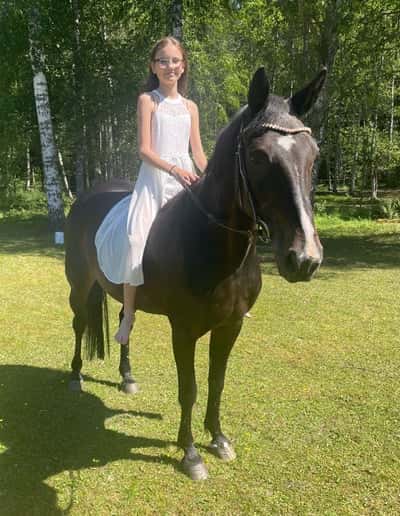Post 23 of Warmblood Trotter with title Fina Astalia för några dagar sedan 