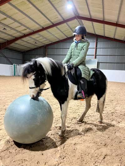 Inlägg 12 av Unghäst med titeln Miljöträning