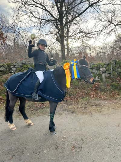 Post 22 of Show jumping