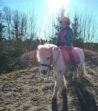 Inlägg 69 av Galopp med titeln Storm
