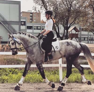 Ferrero v/h Breughelhof