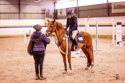 Post 72 of Show jumping