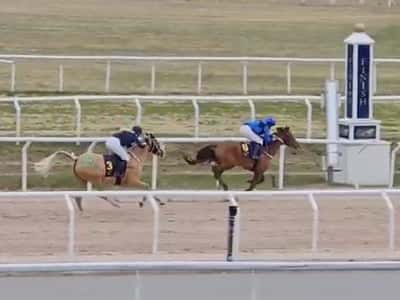 Inlägg 15 av Ponnygalopp med titeln Bro park 21 april 2024