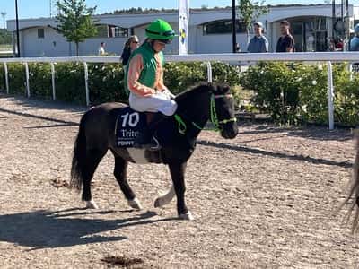 Inlägg 83 av Galopp med titeln Kilskogens Gozzi - Wilma Nordelind