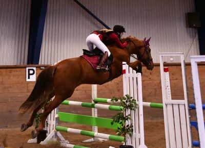 Inlägg 113 av Allround