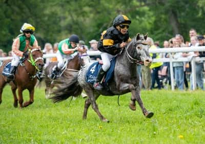 Inlägg 4 av Galopp med titeln SM i ponnygalopp på Strömsholm