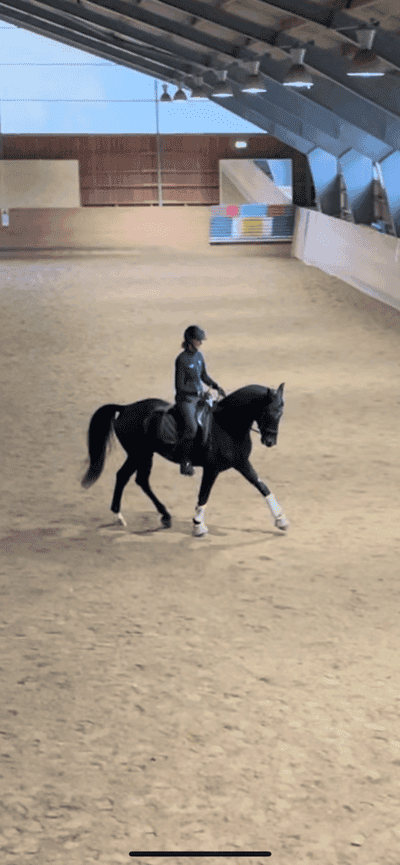 Inlägg 29 av Dressyr med titeln November ❄️🩵☃️