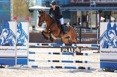 Inlägg 118 av Allround