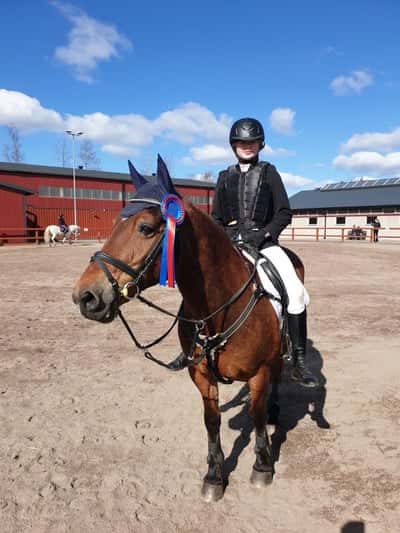 Post 321 of Show jumping with title Första P&J