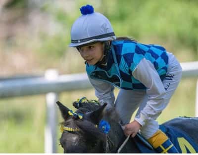 Inlägg 62 av Galopp med titeln SM på Strömsholm🤩