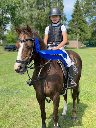 Post 371 of Show jumping with title Hästliv 🫶🏻🫶🏻