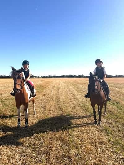 Inlägg 6 av Korsningshäst med titeln Galopprace på stubbåkrarna ☀️