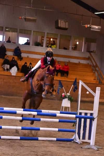 Inlägg 110 av Allround