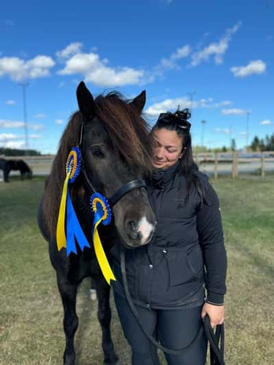 Post 45 of Show jumping with title Bjargs KM