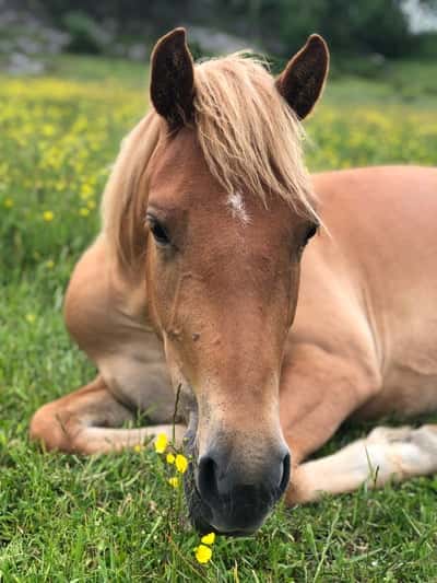 Inlägg 146 av Allround