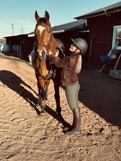 Bild av Trevlig, snäll valack 