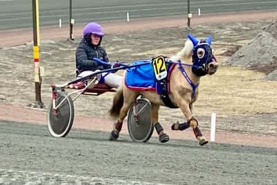 Inlägg 8 av Ponnytrav med titeln Ponnytrav 