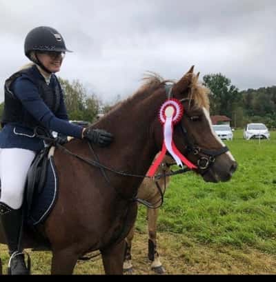 Post 242 of Show jumping with title Lagtävling