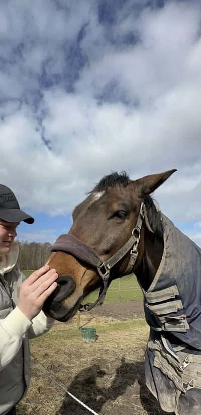 Post 15 of Halfblood with title Söndagsgos❤️