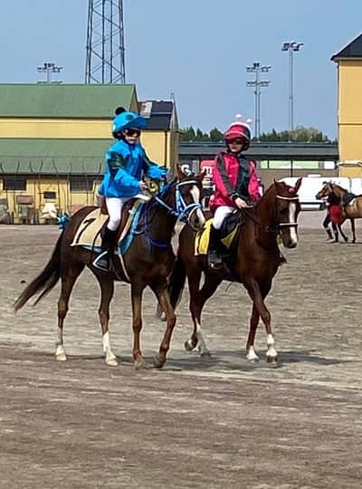 Inlägg 27 av Galopp med titeln Jägersro 21/5 kat B