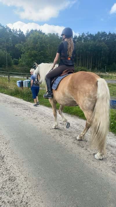 Inlägg 1 av Haflinger med titeln Provridning 