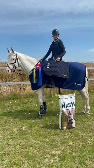 Inlägg 21 av Andalusier med titeln Hittarps viaplay cup