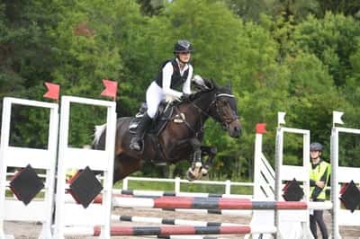 Inlägg 54 av Allround