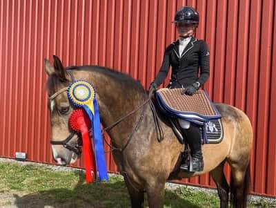 Post 380 of Show jumping with title Söndagens tävling 18/9-22