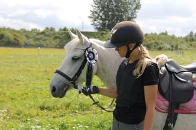 Post 161 of Show jumping