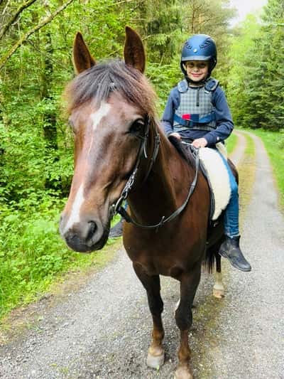 Inlägg 13 av New Forest med titeln 😻