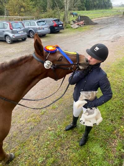 Inlägg 123 av Allround med titeln Pieter