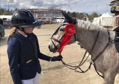 Post 11 of Show jumping