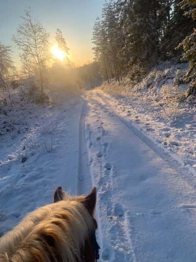 Inlägg 62 av Allround med titeln Mysig uteritt❤️❤️