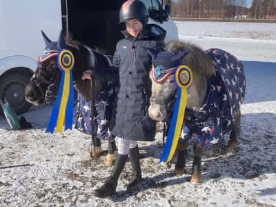 Inlägg 17 av Galopp med titeln Hopptävling