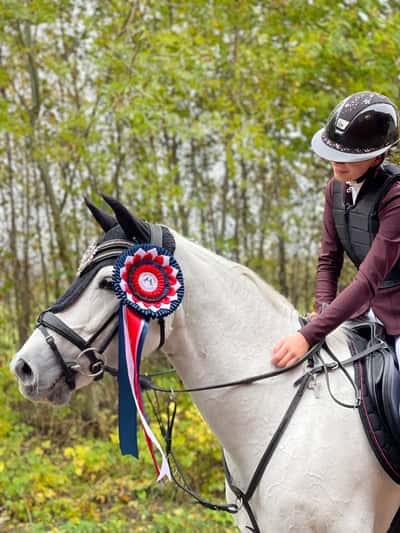 Post 437 of Show jumping with title Grevagården