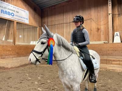 Post 274 of Show jumping with title årets första p&j😍