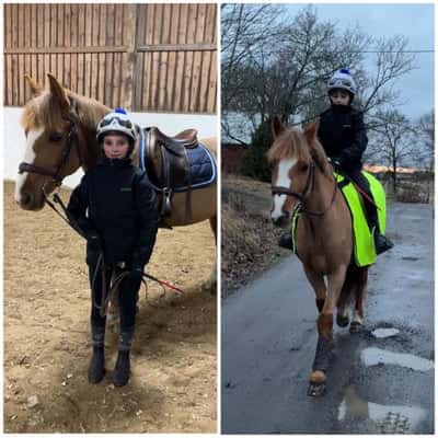 Inlägg 61 av Galopp med titeln Superduktig Linnie idag😍🫶🏻