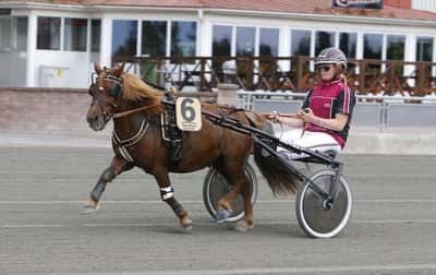 Inlägg 115 av Ponnytrav med titeln Dalatravets Travgala