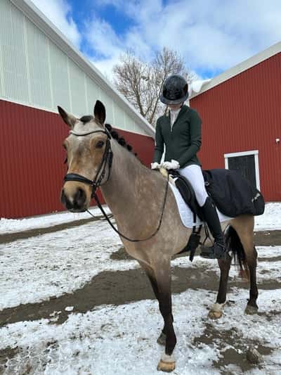 Inlägg 82 av Allround med titeln Km 2024 🌟