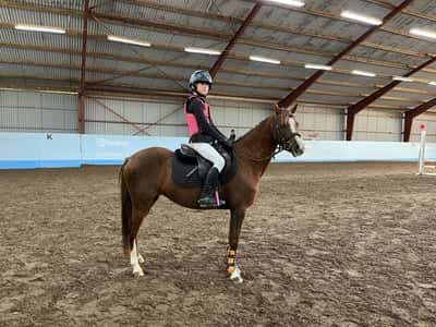 Inlägg 17 av Welshponny med titeln Allsvenskan 