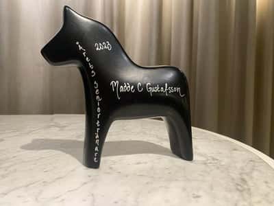 Inlägg 37 av Ponnytrav med titeln DPK’s ponnytravgala 2023🏆