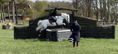 Inlägg 14 av Fälttävlan med titeln Terrängträning🌟