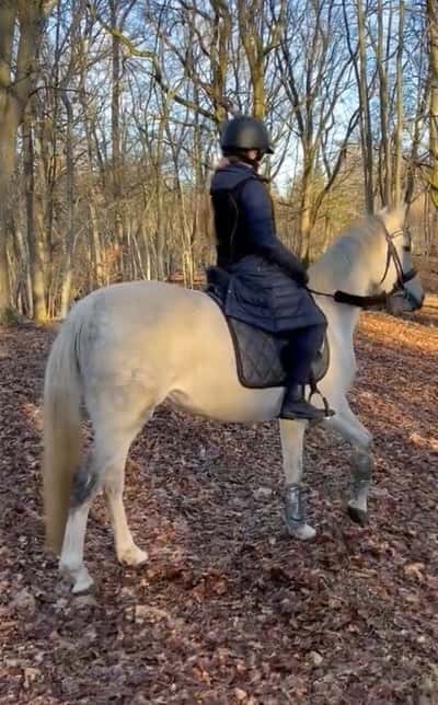 Inlägg 9 av Andalusier med titeln Sessan på äventyr 🇪🇸