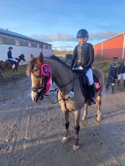 Post 256 of Show jumping with title LC debut 