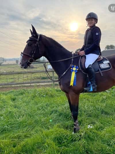 Post 361 of Show jumping with title Förstatävlingen