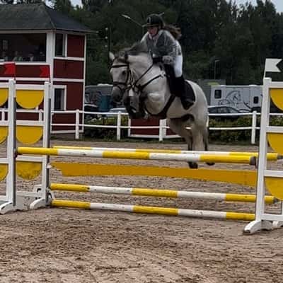 Hennessy de la comoe