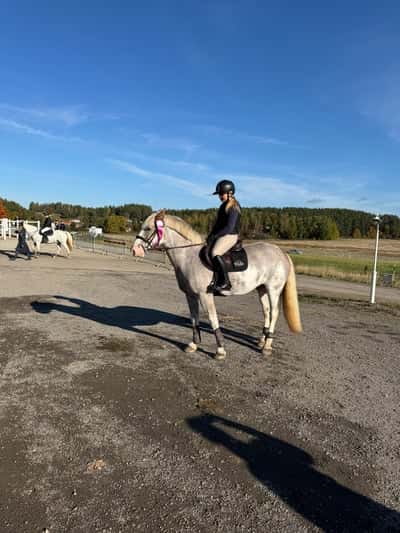 Post 58 of Show jumping with title Hoppning